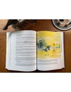 LA CHASSE DES CANARDS 2